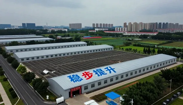 如何在升学规划中体现耐心的价值