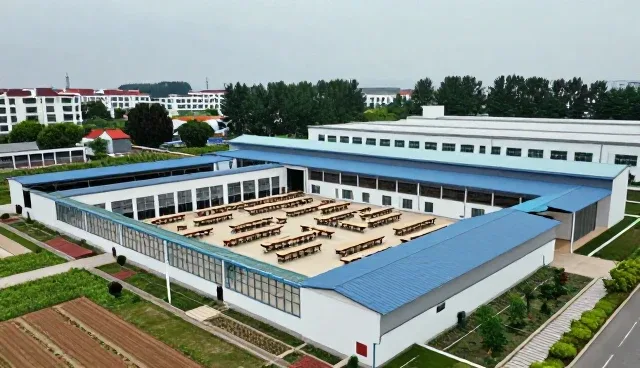 学习规划中心理辅导的选型关注点分析